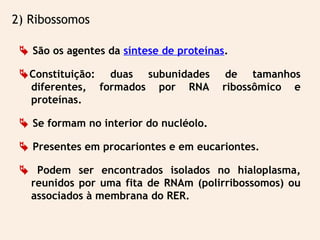  São os agentes da síntese de proteínas.
Constituição: duas subunidades de tamanhos
diferentes, formados por RNA ribossômico e
proteínas.
 Se formam no interior do nucléolo.
 Presentes em procariontes e em eucariontes.
 Podem ser encontrados isolados no hialoplasma,
reunidos por uma fita de RNAm (polirribossomos) ou
associados à membrana do RER.
2) Ribossomos
 
