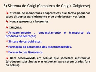  Sistema de membranas lipoproteicas que forma pequenos
sacos dispostos paralelamente e de onde brotam vesículas.
 Nunca apresenta ribossomos.
 Funções:
Armazenamento , empacotamento e transporte de
produtos de secreção;
Síntese de carboidratos;
Formação do acrossomo dos espermatozoides.
Formação dos lisossomos.
 Bem desenvolvido em células que secretam substâncias
(produzem substâncias e as exportam para serem usadas fora
da célula).
3) Sistema de Golgi (Complexo de Golgi/ Golgiense)
 