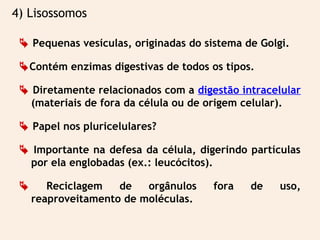 4) Lisossomos
 Pequenas vesículas, originadas do sistema de Golgi.
Contém enzimas digestivas de todos os tipos.
 Diretamente relacionados com a digestão intracelular
(materiais de fora da célula ou de origem celular).
 Papel nos pluricelulares?
 Importante na defesa da célula, digerindo partículas
por ela englobadas (ex.: leucócitos).
 Reciclagem de orgânulos fora de uso,
reaproveitamento de moléculas.
 