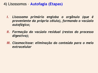 I. Lisossomo primário engloba o orgânulo (que é
proveniente da própria célula), formando o vacúolo
autofágico;
II. Formação do vacúolo residual (restos do processo
digestivo);
III. Clasmocitose: eliminação do conteúdo para o meio
extracelular
4) Lisossomos – Autofagia (Etapas)
 