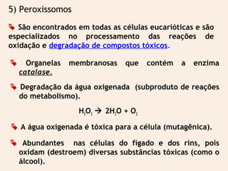 5) Peroxissomos
 São encontrados em todas as células eucarióticas e são
especializados no processamento das reações de
oxidação e degradação de compostos tóxicos.
 Organelas membranosas que contém a enzima
catalase.
 Degradação da água oxigenada (subproduto de reações
do metabolismo).
H2O2  2H2O + O2
 A água oxigenada é tóxica para a célula (mutagênica).
 Abundantes nas células do fígado e dos rins, pois
oxidam (destroem) diversas substâncias tóxicas (como o
álcool).
 
