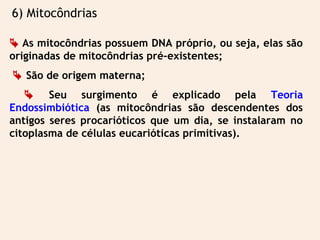  As mitocôndrias possuem DNA próprio, ou seja, elas são
originadas de mitocôndrias pré-existentes;
 São de origem materna;
 Seu surgimento é explicado pela Teoria
Endossimbiótica (as mitocôndrias são descendentes dos
antigos seres procarióticos que um dia, se instalaram no
citoplasma de células eucarióticas primitivas).
6) Mitocôndrias
 