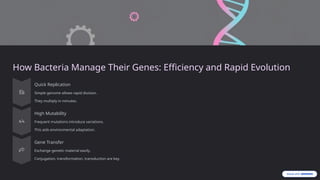 organisations of genetic material bacteria.pptx