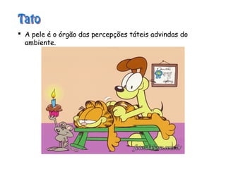  A pele é o órgão das percepções táteis advindas do
ambiente.
 