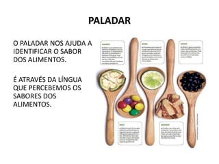 PALADAR
O PALADAR NOS AJUDA A
IDENTIFICAR O SABOR
DOS ALIMENTOS.
É ATRAVÉS DA LÍNGUA
QUE PERCEBEMOS OS
SABORES DOS
ALIMENTOS.
 