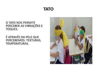 TATO
O TATO NOS PERMITE
PERCEBER AS VIBRAÇÕES E
TOQUES.
É ATRAVÉS DA PELE QUE
PERCEBEMOS: TEXTURAS,
TEMPERATURAS.
 