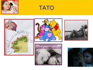 TATO
 
