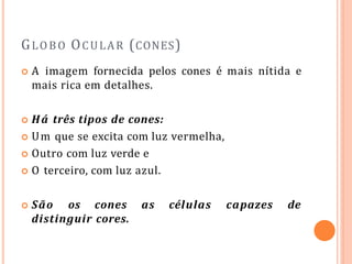 GLOBO OCULAR (CONES)
 A imagem fornecida pelos cones é mais nítida e
mais rica em detalhes.
 Há três tipos de cones:
 Um que se excita com luz vermelha,
 Outro com luz verde e
 O terceiro, com luz azul.
 São os cones as células capazes de
distinguir cores.
 