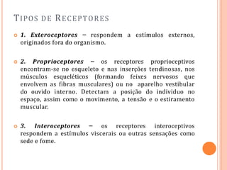 TIPOS DE RECEPTORES
 1. Exteroceptores – respondem a estímulos externos,
originados fora do organismo.
 2. Proprioceptores – os receptores proprioceptivos
encontram-se no esqueleto e nas inserções tendinosas, nos
músculos esqueléticos (formando feixes nervosos que
envolvem as fibras musculares) ou no aparelho vestibular
do ouvido interno. Detectam a posição do individuo no
espaço, assim como o movimento, a tensão e o estiramento
muscular.
 3. Interoceptores – os receptores interoceptivos
respondem a estímulos viscerais ou outras sensações como
sede e fome.
 