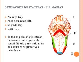 SENSAÇÕES GUSTATIVAS - PRIMÁRIAS
 Amargo (A),
 Azedo ou ácido (B),
 Salgado (C)
 Doce (D).
 Todas as papilas gustativas
possuem alguns graus de
sensibilidade para cada uma
das sensações gustativas
primárias.
 