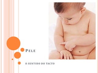 PE L E
O SENTIDO DO TACTO
 