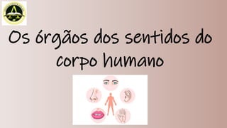 Os órgãos dos sentidos do
corpo humano
 