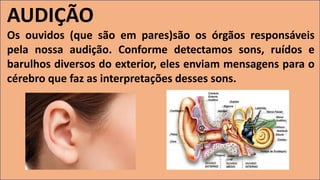 AUDIÇÃO
Os ouvidos (que são em pares)são os órgãos responsáveis
pela nossa audição. Conforme detectamos sons, ruídos e
barulhos diversos do exterior, eles enviam mensagens para o
cérebro que faz as interpretações desses sons.
 