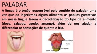 PALADAR
A língua é o órgão responsável pelo sentido do paladar, uma
vez que ao ingerirmos algum alimento as papilas gustativas
em nossa língua fazem a decodificação do tipo de alimento
(doce, salgado, azedo, amargo), além de nos ajudar a
diferenciar as sensações de quente e frio.
 