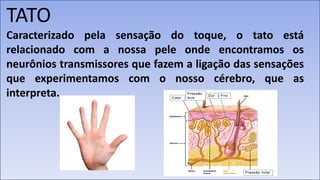 TATO
Caracterizado pela sensação do toque, o tato está
relacionado com a nossa pele onde encontramos os
neurônios transmissores que fazem a ligação das sensações
que experimentamos com o nosso cérebro, que as
interpreta.
 