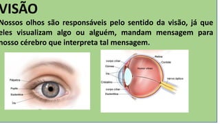 VISÃO
Nossos olhos são responsáveis pelo sentido da visão, já que
eles visualizam algo ou alguém, mandam mensagem para
nosso cérebro que interpreta tal mensagem.
 