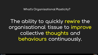 manoelp
The ability to quickly rewire the
organisational tissue to improve
collective thoughts and
behaviours continuously.
What’s Organisational Plasticity?
 
