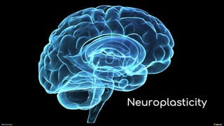 manoelp
Neuroplasticity
manoelp
 