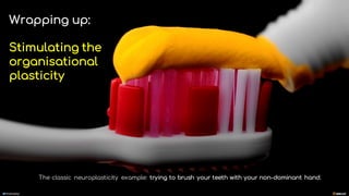 manoelp
Wrapping up:
Stimulating the
organisational
plasticity
The classic neuroplasticity example: trying to brush your teeth with your non-dominant hand.
manoelp
 