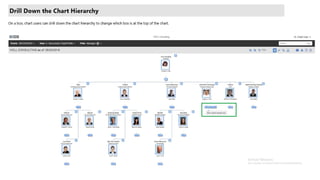 OrgPublisher HOLL Consulting-drill up-down sample-chain of command | PDF