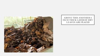 ABOVE THIS ANOTHER 6
INCH THICK LAYER OF DRY
LEAVES ARE PLACED
 