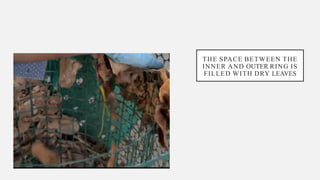 THE SPACE BETWEEN THE
INNER AND OUTER RING IS
FILLED WITH DRY LEAVES
 