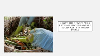 ABOVE THE NEWSPAPER A
LAYER OF BIODEGRADABLE
SOLID WASTE IS SPREAD
EVENLY
 
