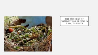 THE PROCESS OF
COMPOSTING BEGINS IN
ABOUT 45 DAYS
 