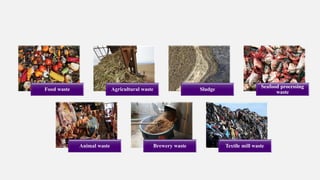 Food waste Agricultural waste Sludge
Seafood processing
waste
Animal waste Brewery waste Textile mill waste
 