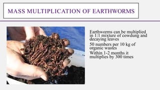 Earthworms can be multiplied
in 1:1 mixture of cowdung and
decaying leaves
50 numbers per 10 kg of
organic wastes
Within 1-2 months it
multiplies by 300 times
MASS MULTIPLICATION OF EARTHWORMS
 