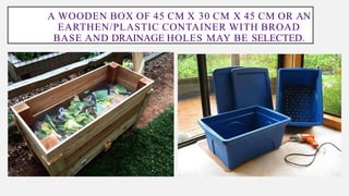 A WOODEN BOX OF 45 CM X 30 CM X 45 CM OR AN
EARTHEN/PLASTIC CONTAINER WITH BROAD
BASE AND DRAINAGE HOLES MAY BE SELECTED.
 