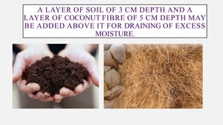 A LAYER OF SOIL OF 3 CM DEPTH AND A
LAYER OF COCONUT FIBRE OF 5 CM DEPTH MAY
BE ADDED ABOVE IT FOR DRAINING OF EXCESS
MOISTURE.
 