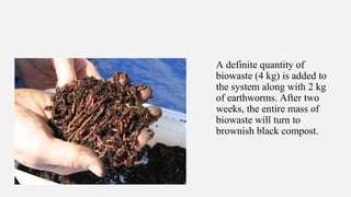 A definite quantity of
biowaste (4 kg) is added to
the system along with 2 kg
of earthworms. After two
weeks, the entire mass of
biowaste will turn to
brownish black compost.
 