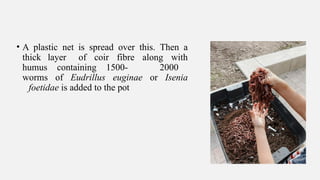 • A plastic net is spread over this. Then a
thick layer of coir fibre along with
humus containing 1500- 2000
worms of Eudrillus euginae or Isenia
foetidae is added to the pot
 