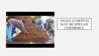 100 KG COIRPITH
MAY BE SPREAD
UNIFORMLY.
 