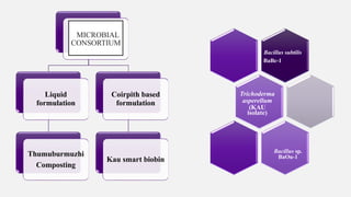 MICROBIAL
CONSORTIUM
Liquid
formulation
Thumuburmuzhi
Composting
Coirpith based
formulation
Kau smart biobin
Bacillus subtilis
BaBc-1
Trichoderma
asperellum
(KAU
isolate)
Bacillus sp.
BaOu-1
 