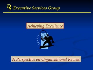 A Perspective on Organizational Review D S Executive Services Group Achieving Excellence 