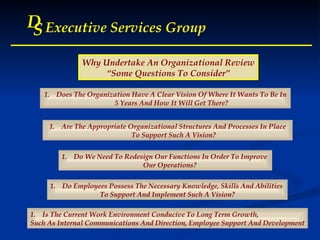 D S Executive Services Group Why Undertake An Organizational Review “ Some Questions To Consider” Does The Organization Have A Clear Vision Of Where It Wants To Be In 5 Years And How It Will Get There? Are The Appropriate Organizational Structures And Processes In Place To Support Such A Vision? Do We Need To Redesign Our Functions In Order To Improve  Our Operations? Do Employees Possess The Necessary Knowledge, Skills And Abilities  To Support And Implement Such A Vision? Is The Current Work Environment Conducive To Long Term Growth,  Such As Internal Communications And Direction, Employee Support And Development 
