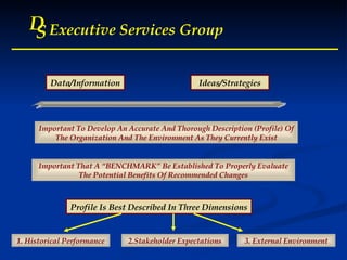 D S Executive Services Group Data/Information Important To Develop An Accurate And Thorough Description (Profile) Of The Organization And The Environment As They Currently Exist Ideas/Strategies Important That A “BENCHMARK” Be Established To Properly Evaluate The Potential Benefits Of Recommended Changes 1. Historical Performance Profile Is Best Described In Three Dimensions 2.Stakeholder Expectations 3. External Environment 