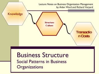 Business Structure Social Patterns in Business Organizations Knowledge Transaction Costs Structure Culture 