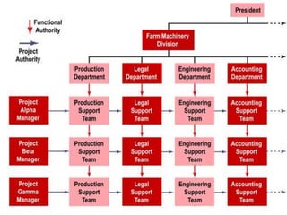 Org structure | PPTX