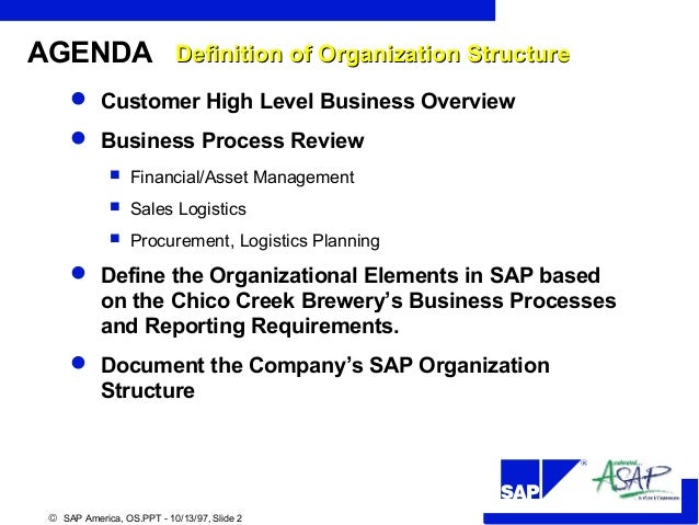 Org structure SAP