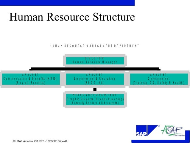 Org structure SAP