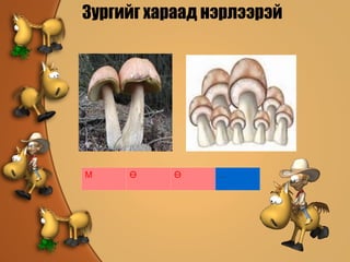 Зургийг хараад нэрлээрэй М Ө Ө ... 
