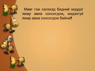 Мөөг гэж хэлэхэд бидний мэддэг ямар авиа сонсогдож, мэдэхгүй ямар авиа сонсогдож байна? 