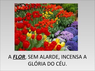 A FLOR, SEM ALARDE, INCENSA A
GLÓRIA DO CÉU.
A FLOR, SEM ALARDE, INCENSA A
GLÓRIA DO CÉU.
 