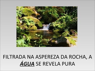 FILTRADA NA ASPEREZA DA ROCHA, A
ÁGUA SE REVELA PURA
FILTRADA NA ASPEREZA DA ROCHA, A
ÁGUA SE REVELA PURA
 
