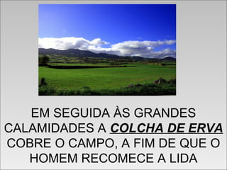 EM SEGUIDA ÀS GRANDES
CALAMIDADES A COLCHA DE ERVA
COBRE O CAMPO, A FIM DE QUE O
HOMEM RECOMECE A LIDA
EM SEGUIDA ÀS GRANDES
CALAMIDADES A COLCHA DE ERVA
COBRE O CAMPO, A FIM DE QUE O
HOMEM RECOMECE A LIDA
 