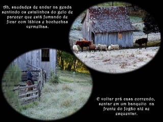 Ah, saudades de andar na geada 
sentindo os estalinhos do gelo de 
parecer que está fumando de 
ficar com lábios e bochechas 
vermelhas. 
E voltar prá casa correndo, 
sentar em um banquito na 
frente do fogão até se 
esquentar. 
 