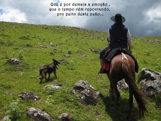 Que é por demais a emoção , 
que o tempo vêm repontando, 
pro peito deste peão... 
 